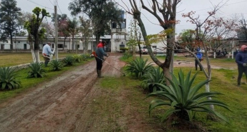 EL MUNICIPIO LLEVA ADELANTE OPERATIVOS DIARIOS DE LIMPIEZA