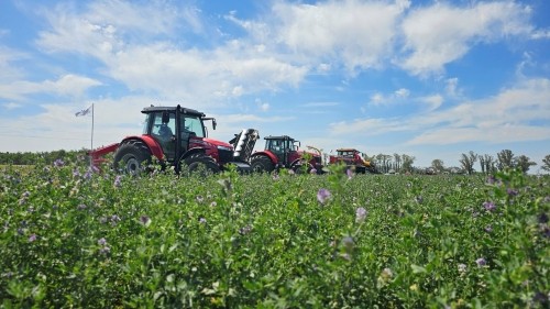 Argentina tiene la oportunidad para jugar fuerte en el mercado mundial de alfalfa