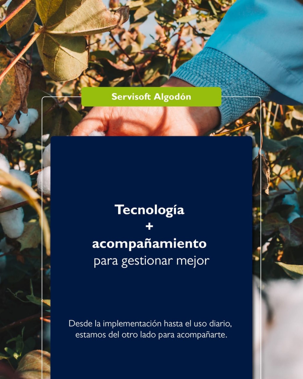 La clave del éxito tecnológico en las empresas: por qué la capacitación y el soporte valen más que el software