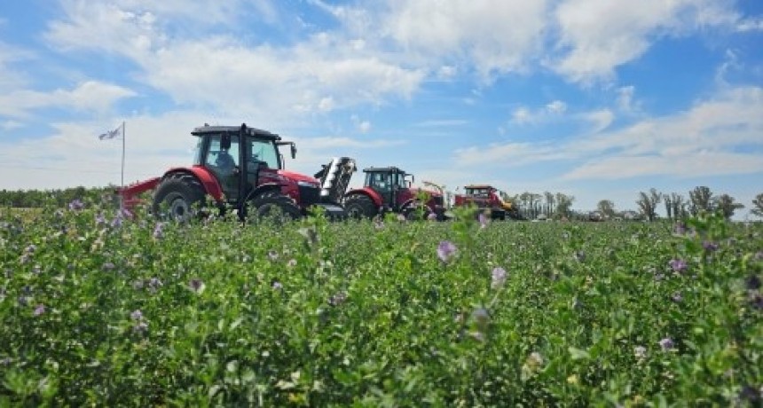 Argentina tiene la oportunidad para jugar fuerte en el mercado mundial de alfalfa